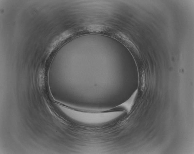 X0000080660492200612301339