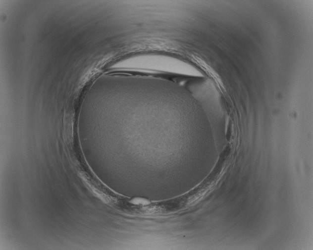 X0000080660493200612301339