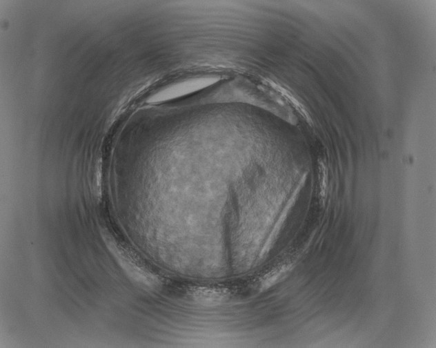 X0000080660494200612301339