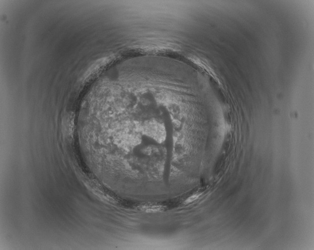 X0000080660495200612301339