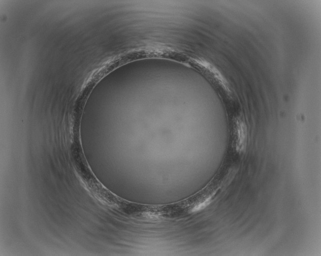 X0000080660496200612301339