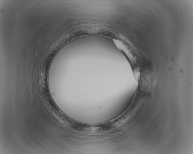 X0000080660497200612301339