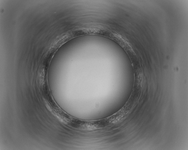 X0000080660498200612301339