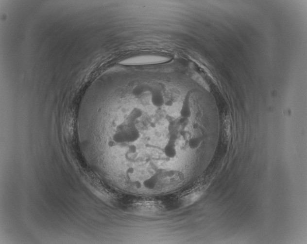 X0000080660499200612301339