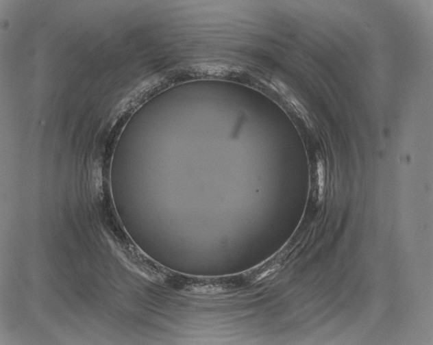 X0000080660500200612301339