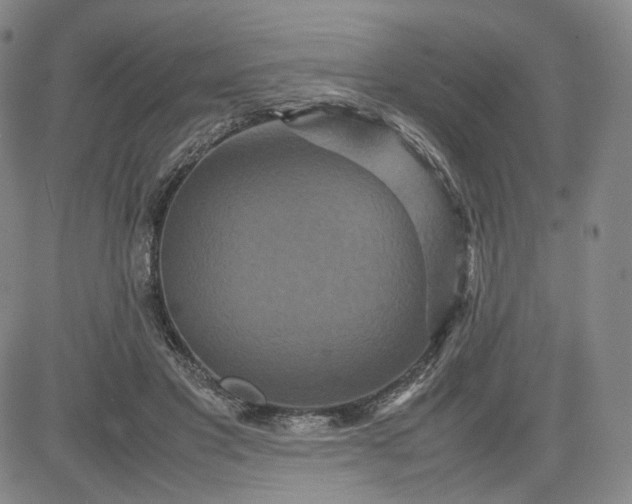 X0000080660501200612301339