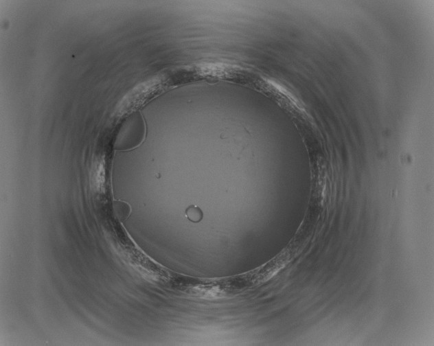 X0000080660502200612301339