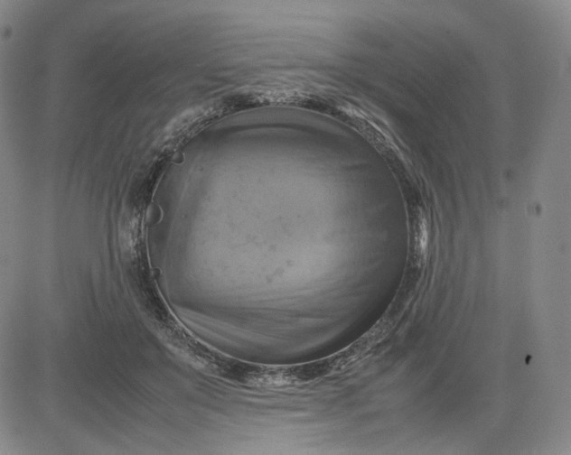 X0000080660503200612301339