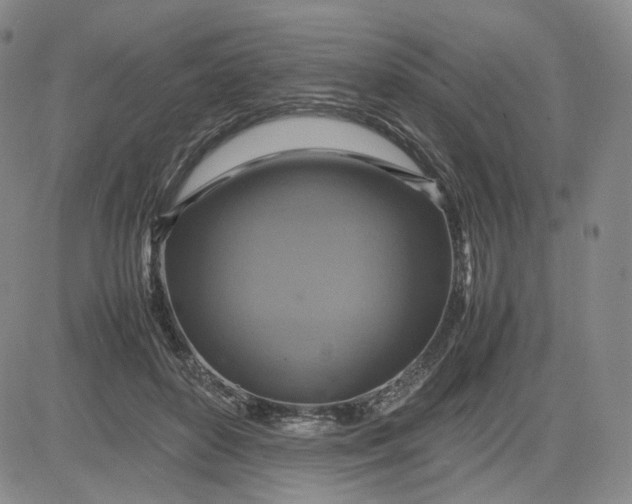 X0000080660504200612301339