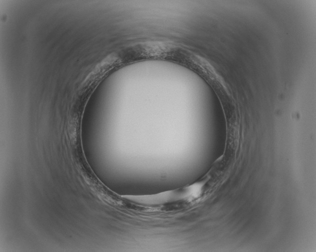 X0000080660505200612301339