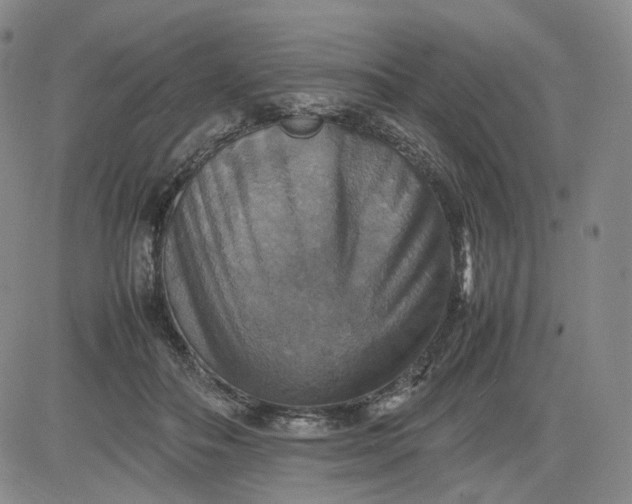 X0000080660506200612301339