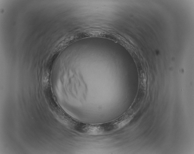 X0000080660507200612301338