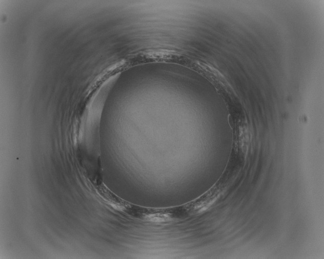 X0000080660508200612301338