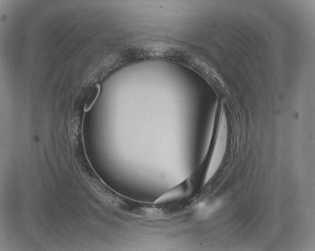 X0000080660509200612301338