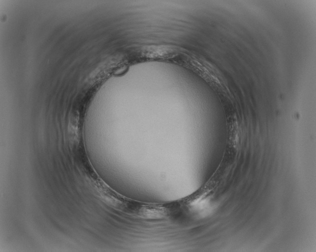 X0000080660510200612301338