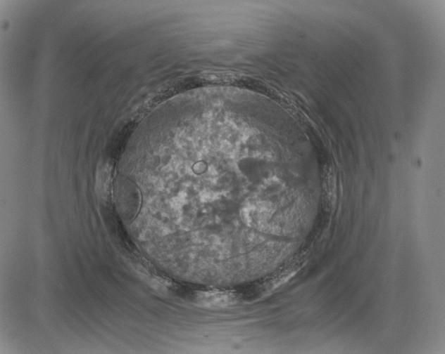 X0000080660511200612301338