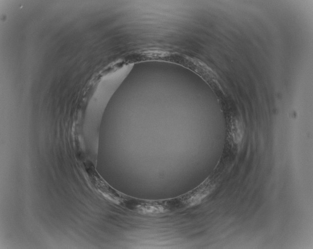 X0000080660512200612301338