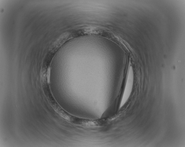 X0000080660513200612301338