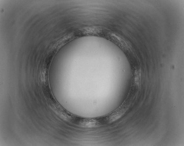 X0000080660514200612301338