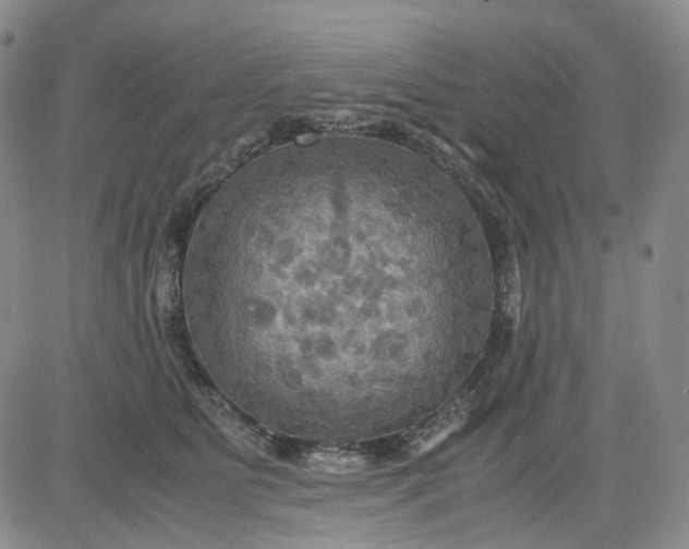 X0000080660515200612301338