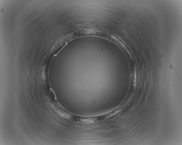 X0000080660516200612301338