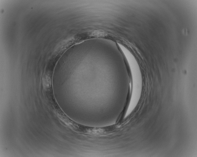 X0000080660517200612301338