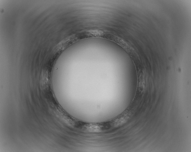 X0000080660518200612301338