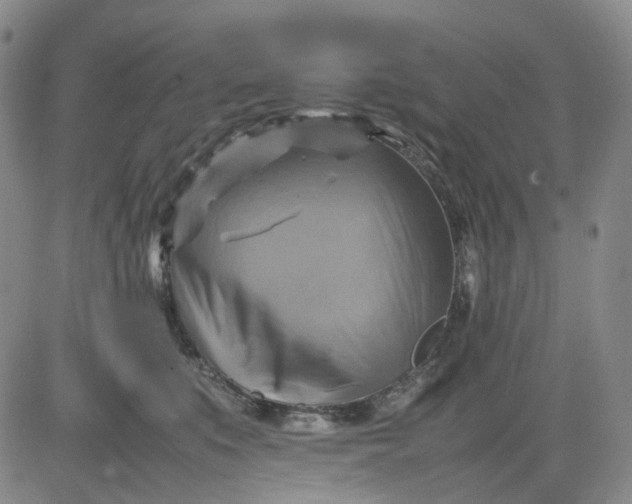 X0000080660519200612301338