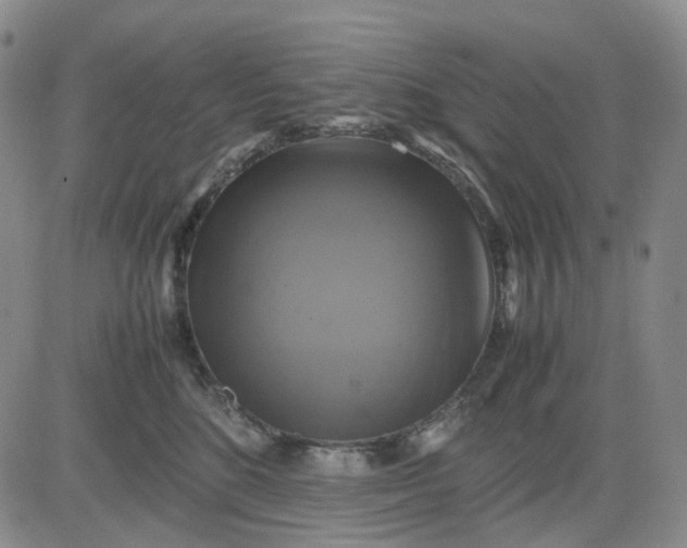 X0000080660520200612301338