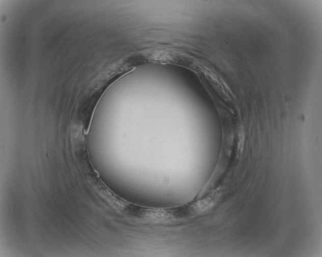 X0000080660521200612301338