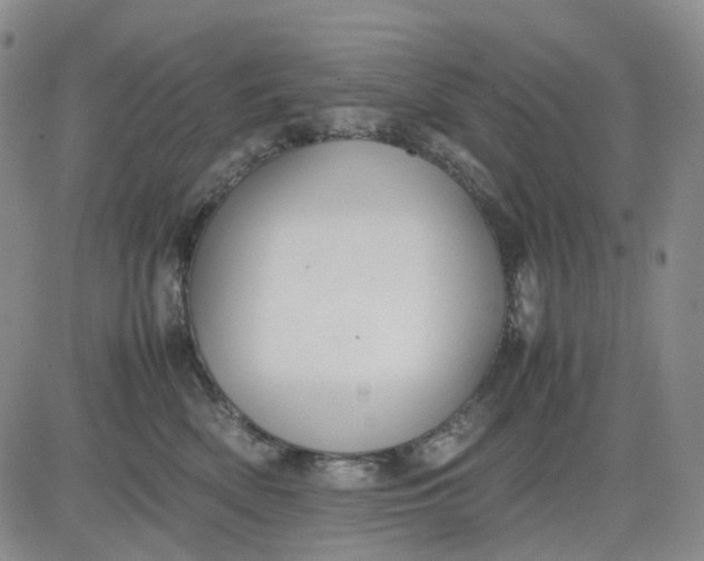 X0000080660522200612301338