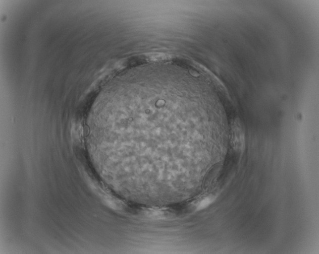 X0000080660523200612301338