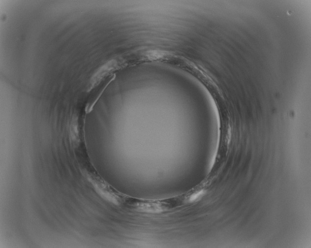 X0000080660524200612301338