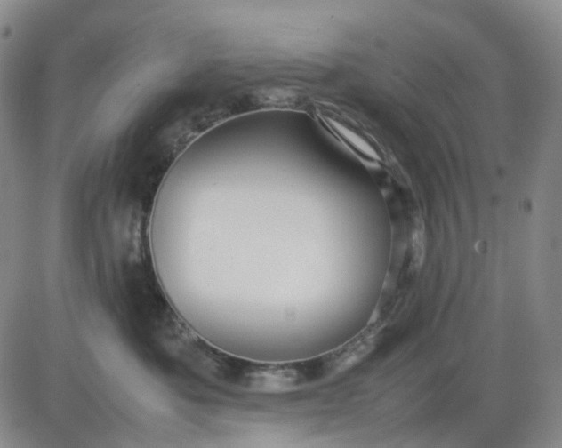 X0000080660525200612301338