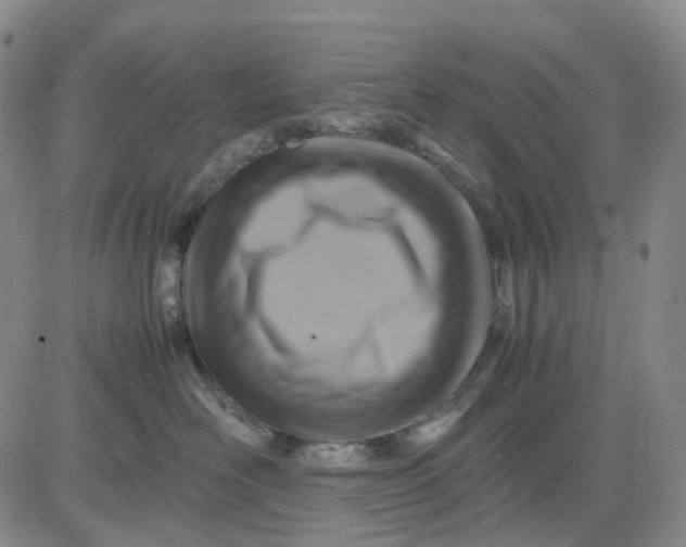 X0000080660526200612301338