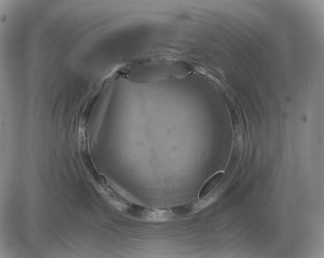 X0000080660527200612301338