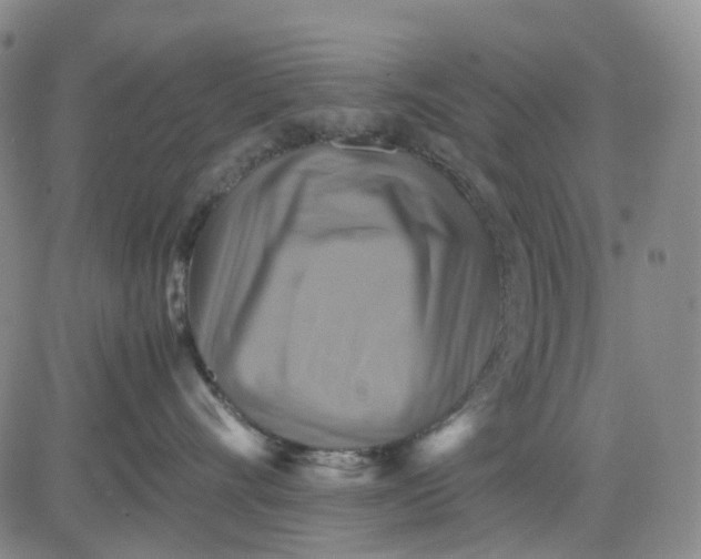 X0000080660528200612301338