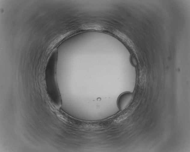 X0000080660529200612301337