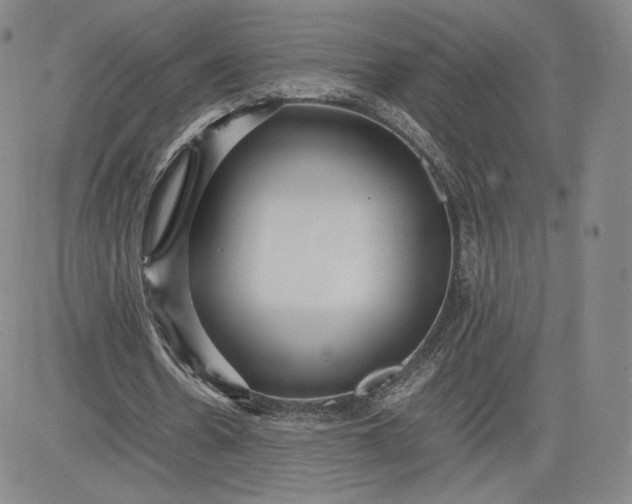 X0000080660530200612301337