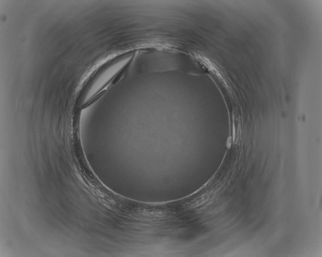 X0000080660531200612301337