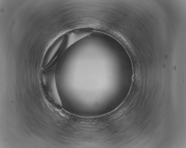 X0000080660532200612301337