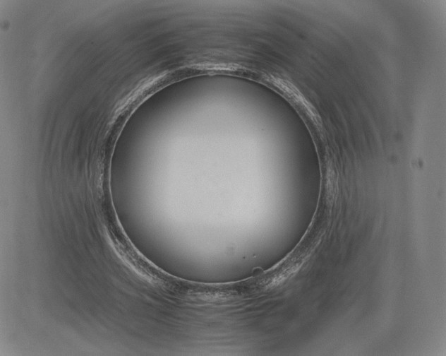 X0000080660533200612301337