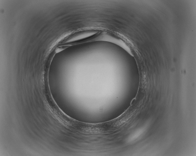 X0000080660535200612301337