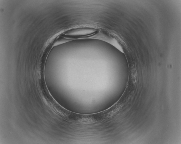 X0000080660536200612301338