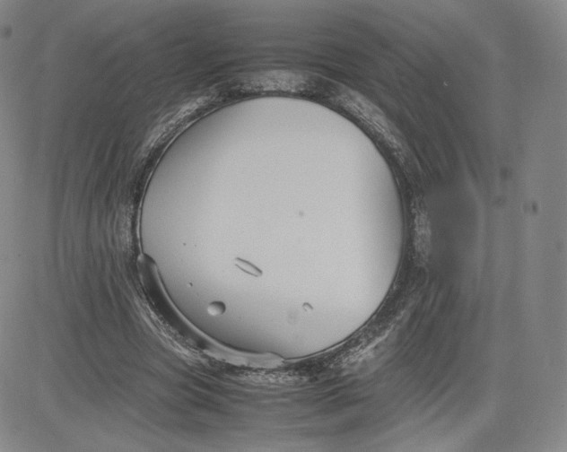 X0000080660537200612301338