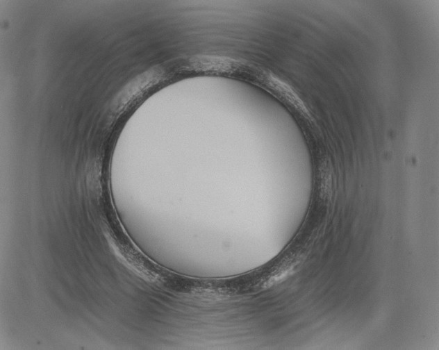 X0000080660538200612301338