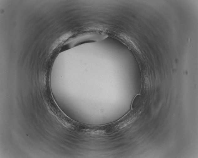 X0000080660539200612301338