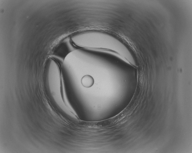 X0000080660540200612301338