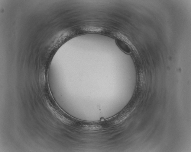 X0000080660541200612301338