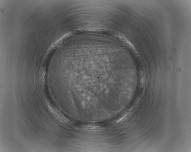 X0000080660542200612301338